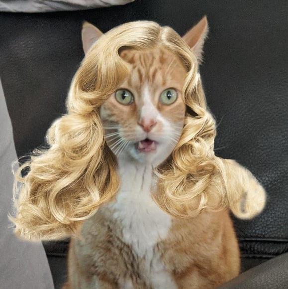 keystonelauren